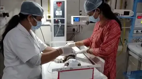 Newborn Buried Living in the Country Struggles for Existence